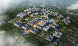 广西学院爆料新闻最新消息,重大事件引发校园热议