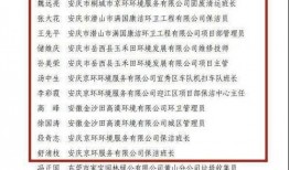 岳西最新爆料新闻事件,重大事件引发社会关注，真相即将揭晓！