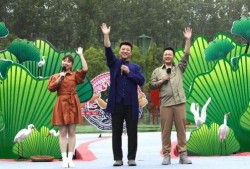 海哥最新爆料视频大全下载,揭秘娱乐圈幕后真相