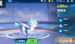 飞车最新爆料宠物,萌宠助力，畅游速度与激情世界