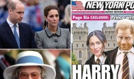 王子最新爆料大号是什么,揭秘神秘大号背后的真相