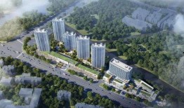 石家庄四药厂爆料最新消息,揭秘药物研发新进展与市场动态