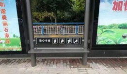 sjz最新爆料,揭秘事件背后惊人真相