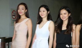 陈小姐深圳最新爆料视频,揭秘城市热点事件