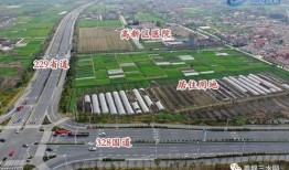 泰州最新爆料,揭秘城市新动向与神秘事件！