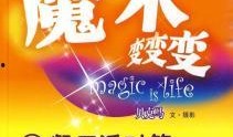 酒店派对最新爆料文案怎么写,奢华狂欢背后的精彩瞬间