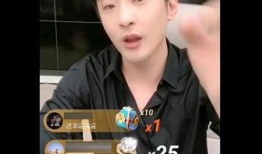 网红辛巴最新爆料,揭秘网红圈层内幕