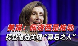外媒佩洛西最新爆料新闻,揭秘美国政坛重大内幕