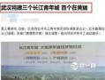 武汉青年城最新爆料事件,揭秘背后惊人真相