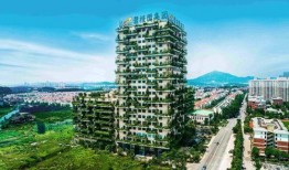 遵义集美东方房价最新爆料,涨跌动态全解析