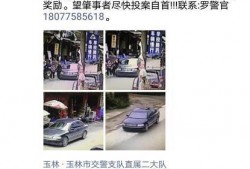 广西玉林最新爆料视频,揭秘当地独特风俗与民生现状