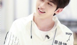 白鹿蔡徐坤最新爆料,揭秘幕后故事与精彩瞬间