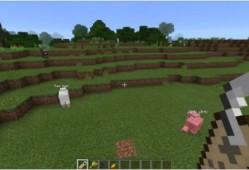 我的世界屏蔽门最新爆料,Minecraft最新屏蔽门功能曝光，游戏体验再升级！