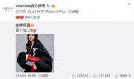 mxlg最新爆料,揭秘娱乐圈最新动态，明星幕后故事大公开！